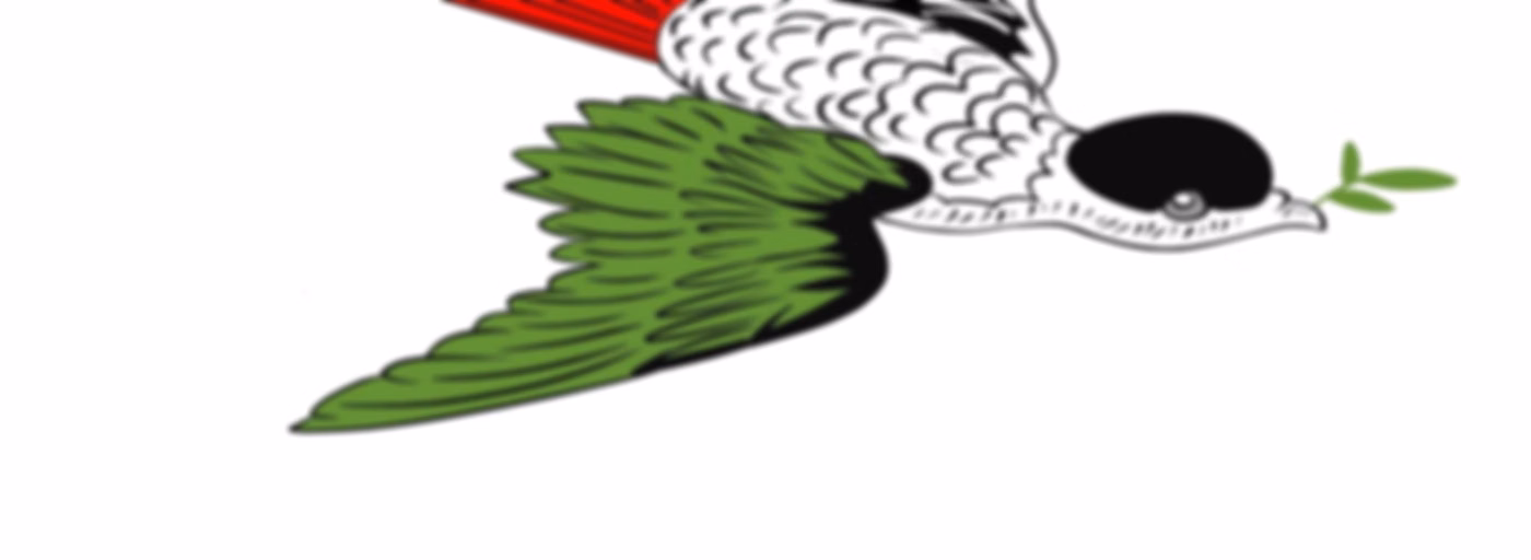 Università Estiva Ecosocialista - 1ma  e 2da Edizione