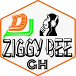 Dj Ziggy Bee Pro
