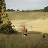 Weekly News. Ep52: UTMB | Highland Fling | Swiss Peaks | Record Attempts |