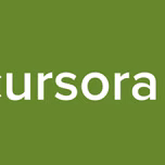 Precursora 959