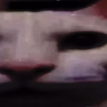 Wazhin0