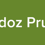 Haddoz Prueba