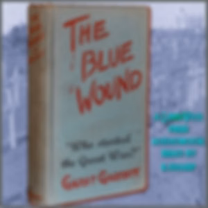 Blue Wound, The by Garet Garrett (1878 - 1954)