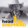Turning grass into money - this time with cattle, with Joe Kerin