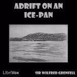 Adrift on an Ice-Pan by  Sir Wilfred Grenfell (1865 - 1940)