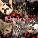 #PlaidCatArmy
