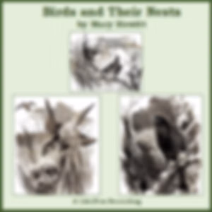 Birds and Their Nests by Mary Howitt (1799 - 1888)