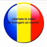Cafeaua Dizidenta
