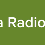 Viva Radio FM