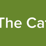 The Cat