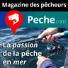 Pêche de la pélamide, nos conseils pour réussir