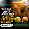 Martes, 28 de julio 2026 | Mateo 13, 36-43