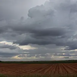Le journal du 31 juillet 2026 - Météo et orientation des nouveaux bacheliers