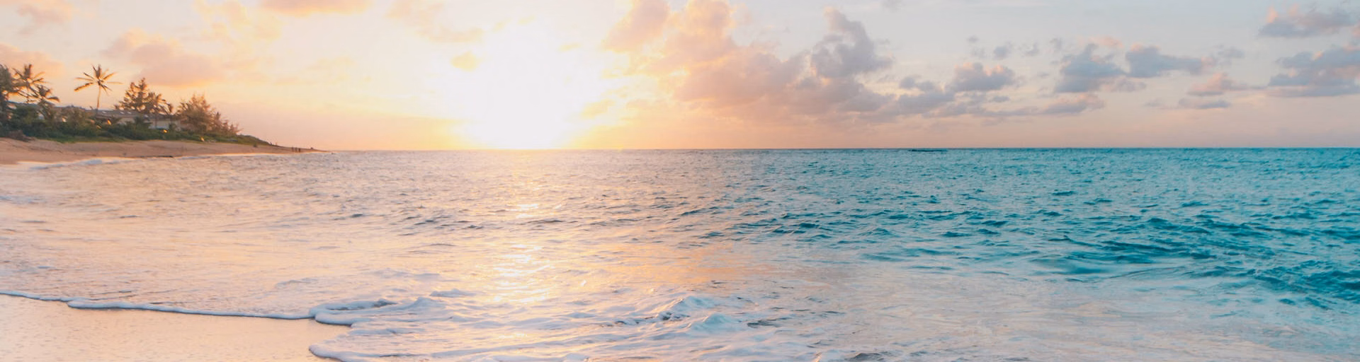 The Summer Vibes Radio