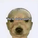 Sampdroid rp