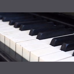 All Classical Piano Chamber Works and Concertos 配信中