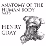 Anatomy of the Human Body, Part 3 (Gray's Anatomy) by Henry Gray (1827 - 1861)