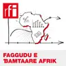 Taskaram-fillitaaɗo - Hannde yeewtere men ana fawii e tiiɗallaaji ɗi awooɓe njogii e gollal mum en