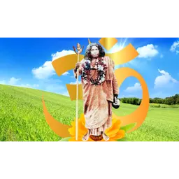 ভারত সেবাশ্রম সংঘের প্রতিষ্ঠাতা আচার্য শ্রীমৎ স্বামী প্রণবানন্দজী মহারাজের কথা ও কিছু অন্য গল্প