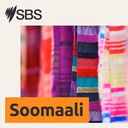 SBS Somali - SBS Afsomali