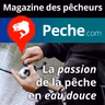 La pêche au coup à la grande canne ou le plaisir de pêcher les poissons blancs