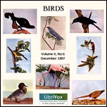 Birds, Vol. II, No 6, December 1897 by Various