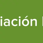 Asociación Ilícita