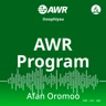 SAGANTAA DARGAGGOOTAA FI SAGALEE WAAQAYYOO SAGALEE ABDII AFAAN OROMOO. YOUTH AND BIBLE FROM ADVENTIST WORLD RADIO OROMO