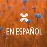 DAB En Español August 12, 2026
