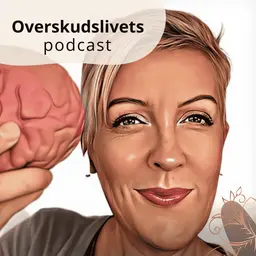 238. Kom videre efter motivationen er ebbet ud