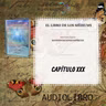 Segunda Parte, CAPÍTULO 30- El Libro de los Médiums, codificado por Allan Kardec -