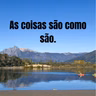 As coisas são como são.