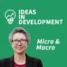 S7 Ep35: Ideas in Development: Has development economics lost its way?