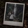 The Faces In The Forest