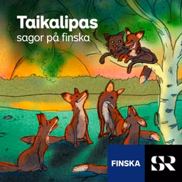 Lastenohjelma Taikalipas