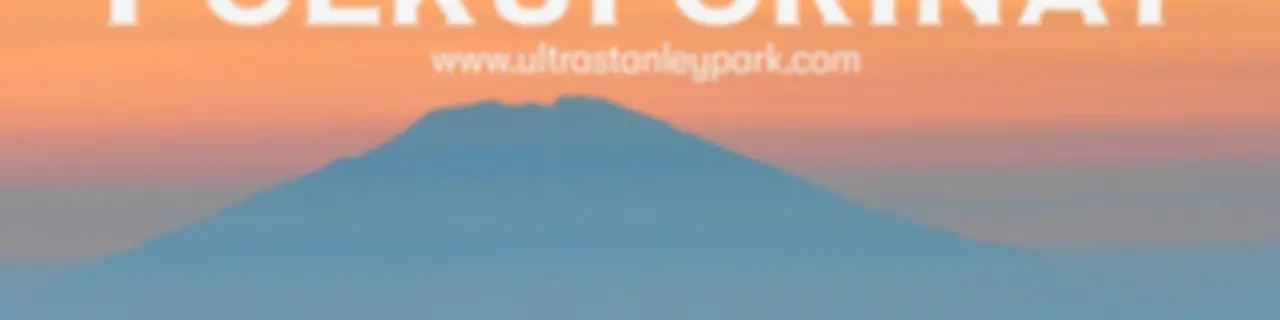 Polkuporinat