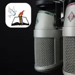 RADIO A LA LUZ DE LA PALABRA