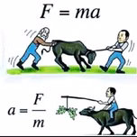 Sanghi