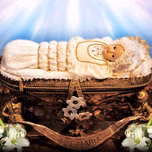 Feed Nativity of virgin mary