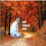 Ciudadano global
