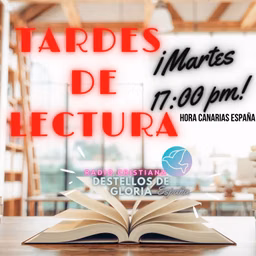 TARDES DE LECTURA