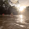 The Yarra Yabbies