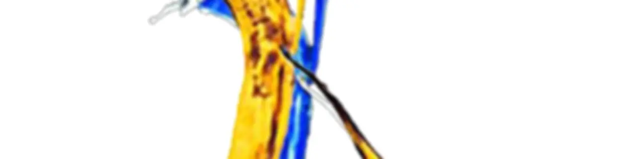 Bananale 6