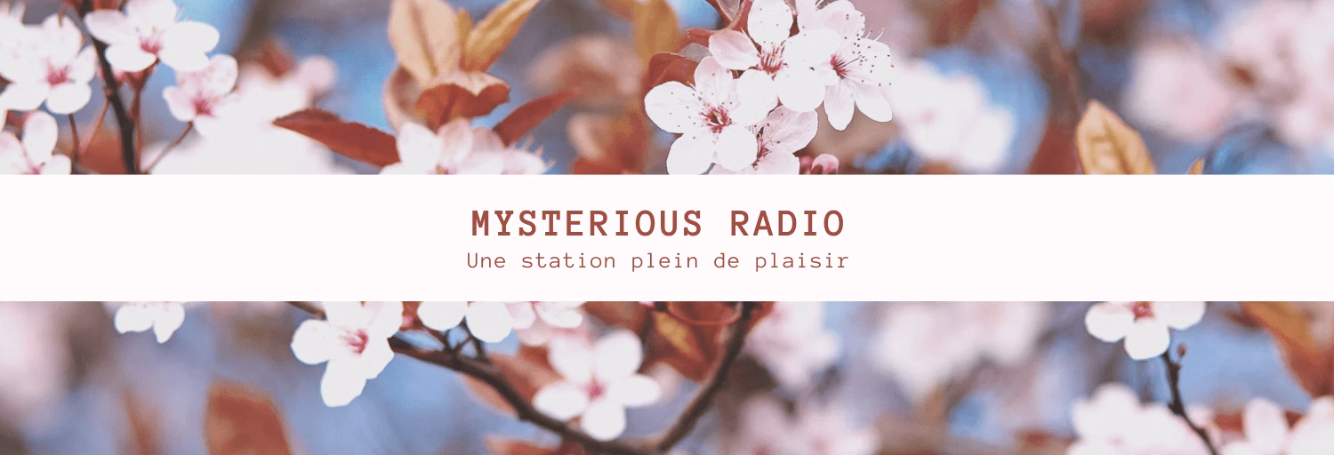 Mysterious Radio