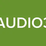 RAUDIO33