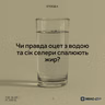 Чи правда оцет з водою та сік селери спалюють жир?