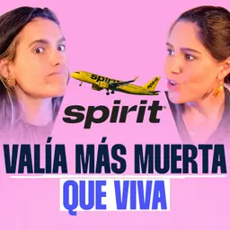 La aerolínea que voló alto y cayó en picada