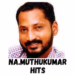 Na Mu Hits