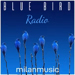BlueBirdRadio