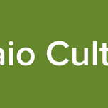 Balaio Cultural
